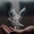 ayman623